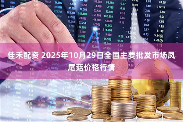 佳禾配资 2025年10月29日全国主要批发市场凤尾菇价格行情