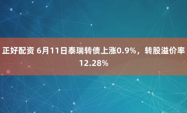 正好配资 6月11日泰瑞转债上涨0.9%，转股溢价率12.28%